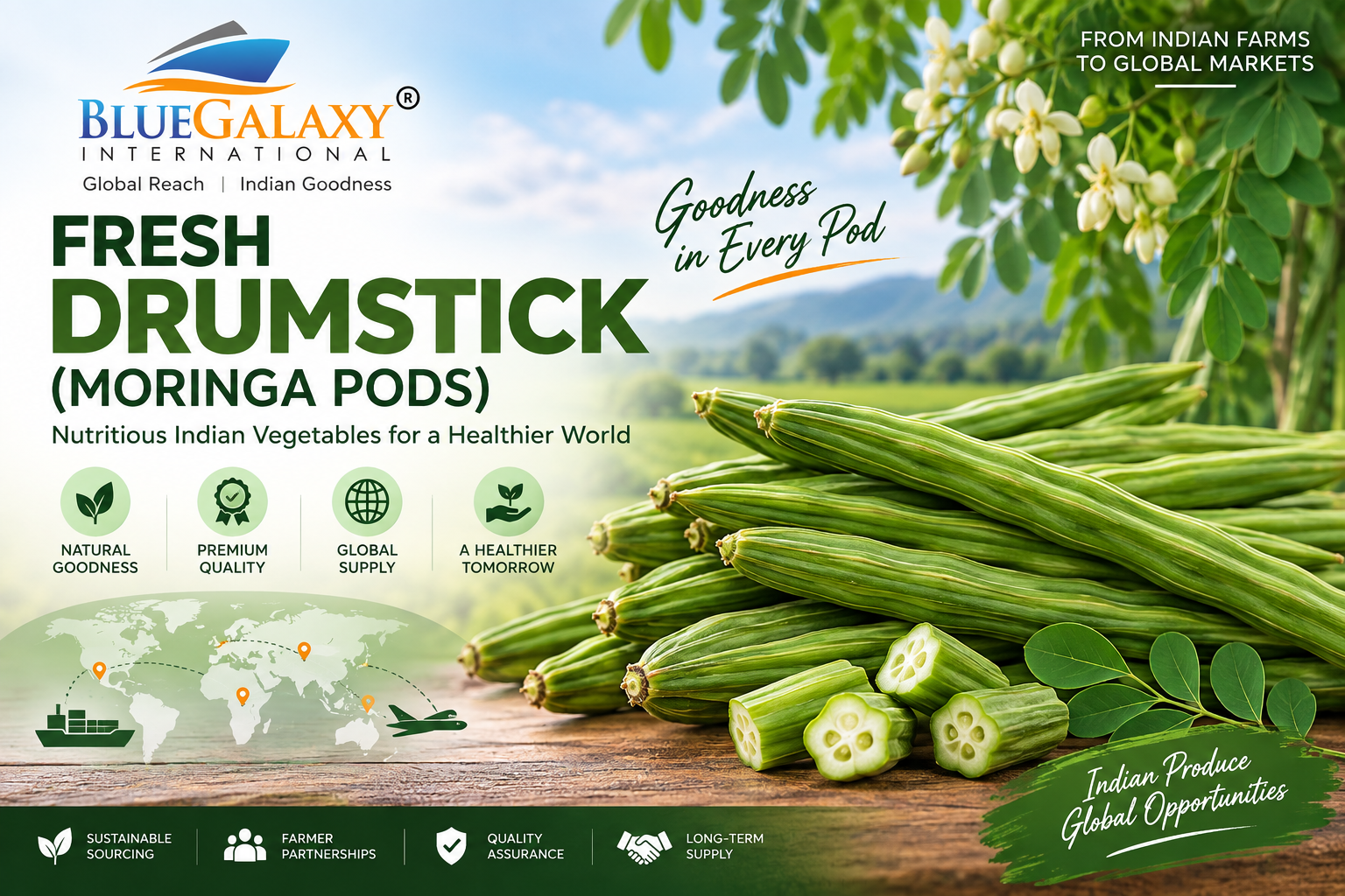 Fresh Drumstick (Moringa Pods)